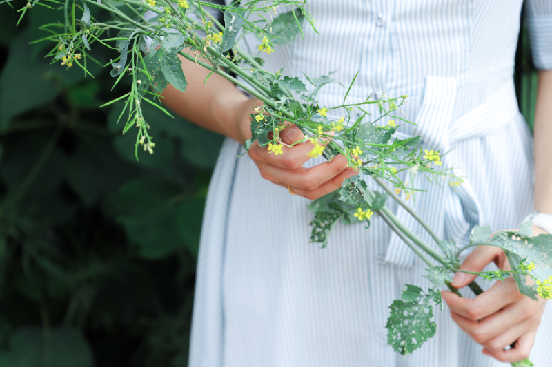 Inspired by You and Nature: Flowers and Plants