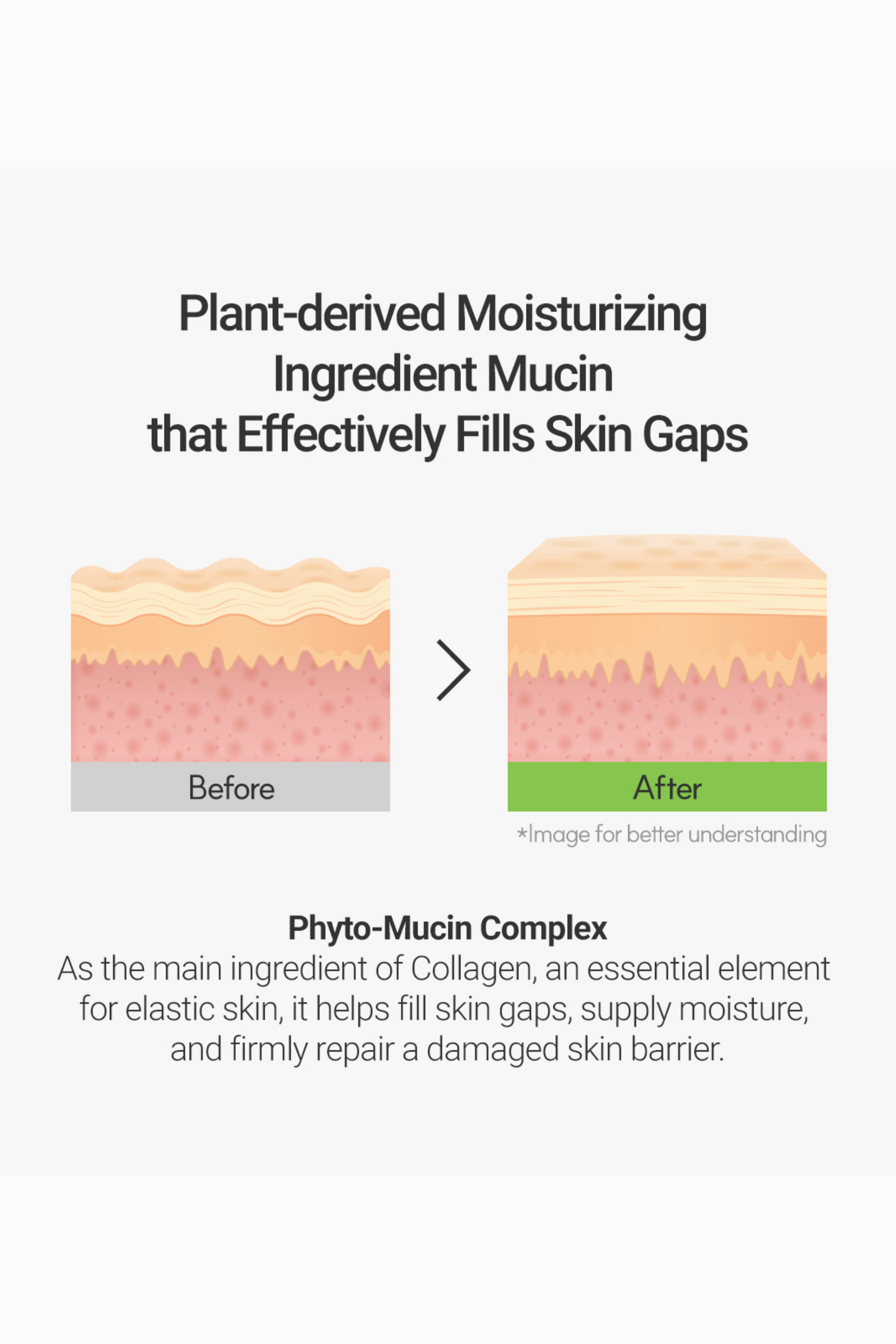 Rovectin Skin Essentials Lotus Sun Cream