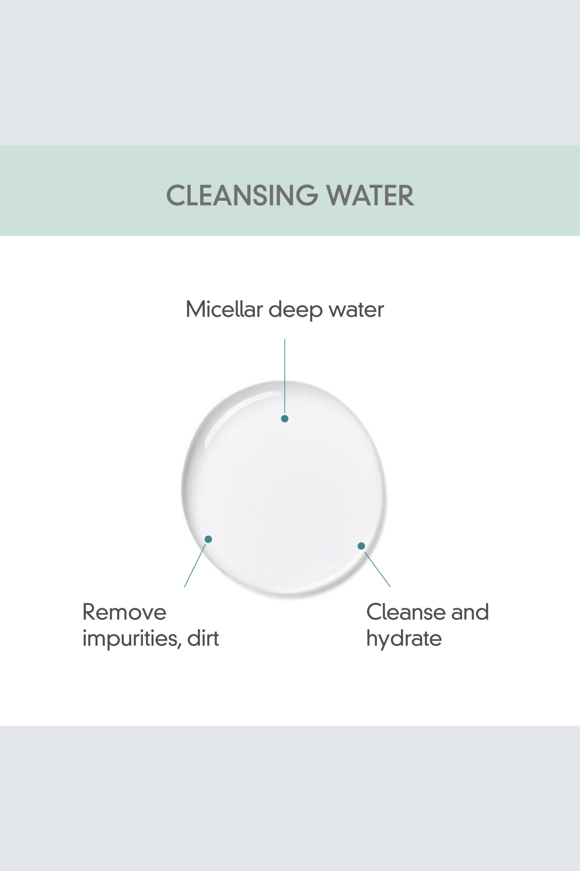Clean Beauty Basic Set ($58 Value) - Rovectin Skin Essentials
